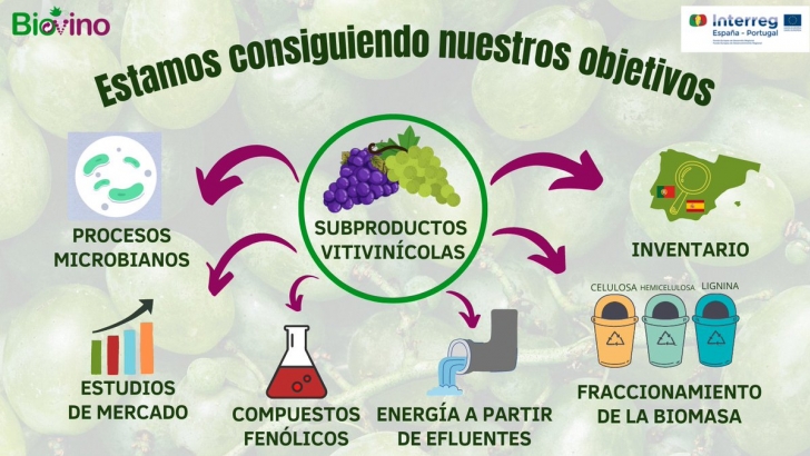 acido succinico revive beneficios y usos